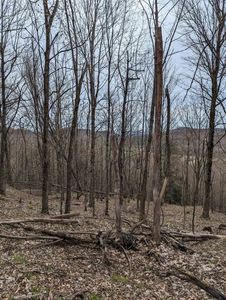 449 Dodd Road, East Fairfield, VT, 05448