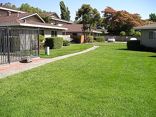Santa Alicia Apts .07 005