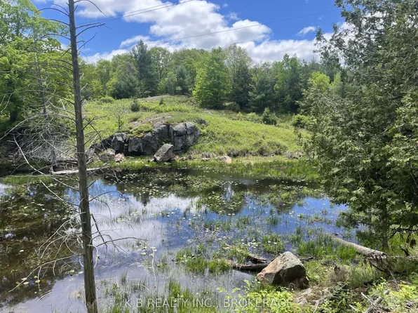 2970 Mountain Rd, Stone Mills, ON K0K 3G0