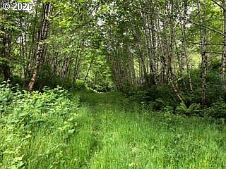 5th image of Land End Of Beech St