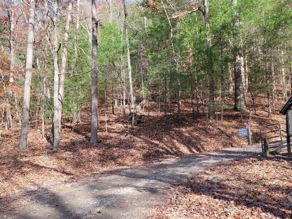 1A Buck Ridge Trl, Suches, GA 30572