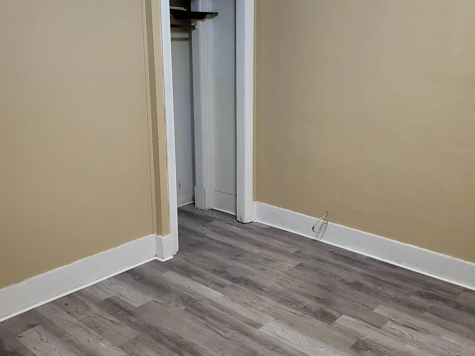1 bed, 800 sqft, $1,000 — Photo 4