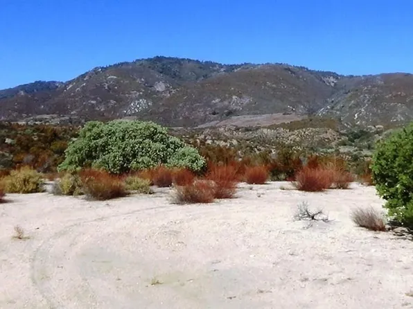 37245 Old Forest Rd, Anza, CA 92539