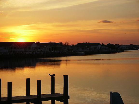 Sunset from back deck