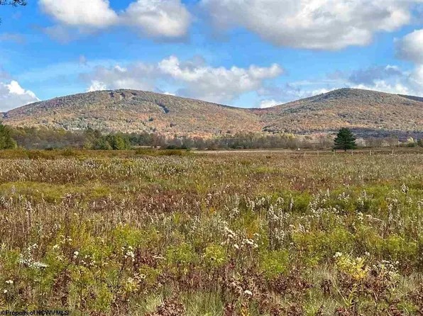 36 Piper Ln, Davis, WV 26260