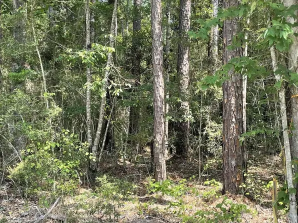 30333 Highway 190, Lacombe, LA 70445