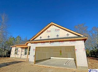 6681 George Coker Ln, Cheraw, SC 29520