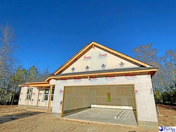 6681 George Coker Ln, Cheraw, SC 29520