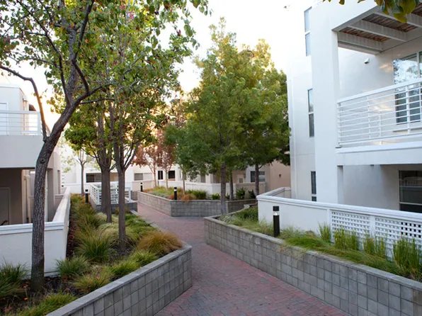 Cupertino Park Center