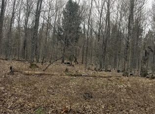 ON Black Bear Ln, --, WI 54554