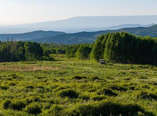 TBD Wapiti Trail, Montrose, CO 81401