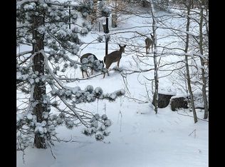 15 Winterset Dr, Davis, WV 26260