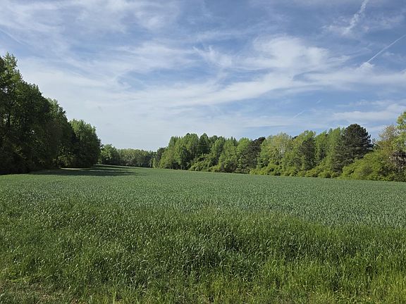 5th image of 294 Hight Rd