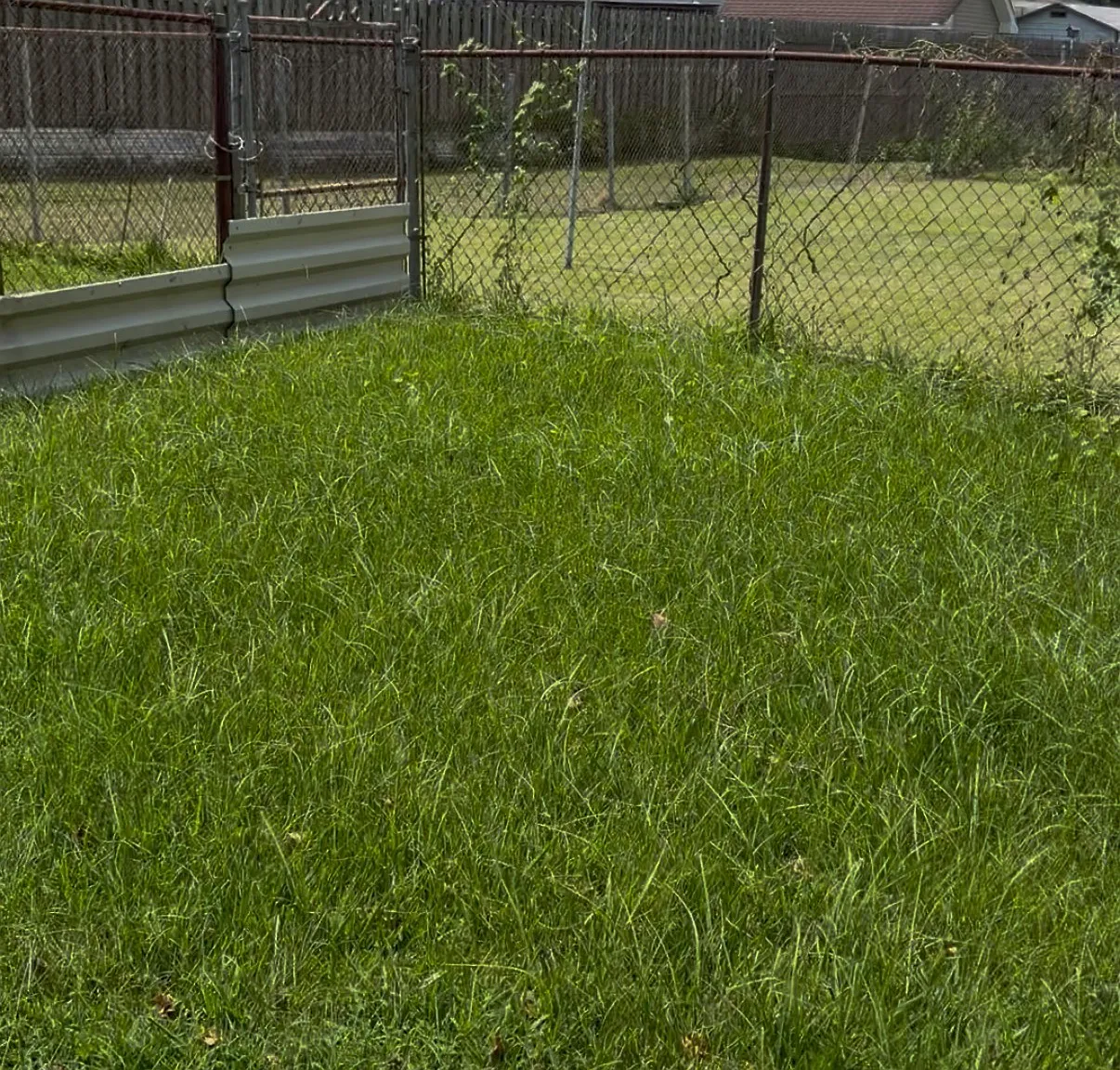 2 bed, 1100 sqft, $1,200 — Photo 2