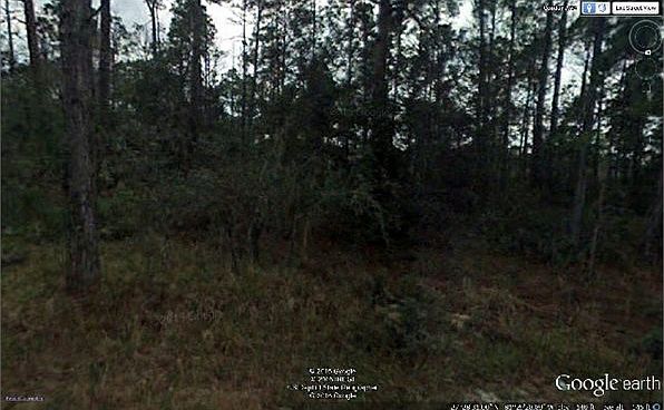 2nd image of 216 Condor Ave