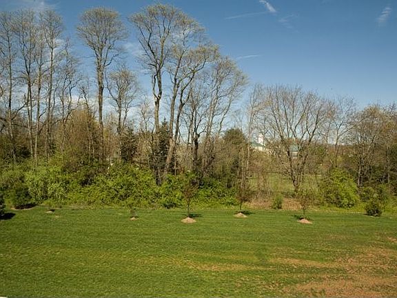 Tree Lined Backyard