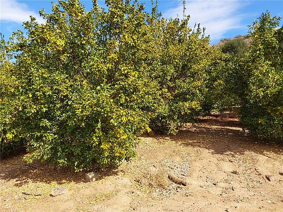 3rd image of 3 Via Vaquero Lot 34
