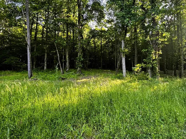 9 Pleasant Hill Rd, Ten Mile, TN 37880