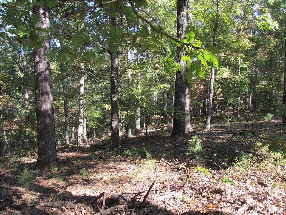2nd image of 711 County Road 1486