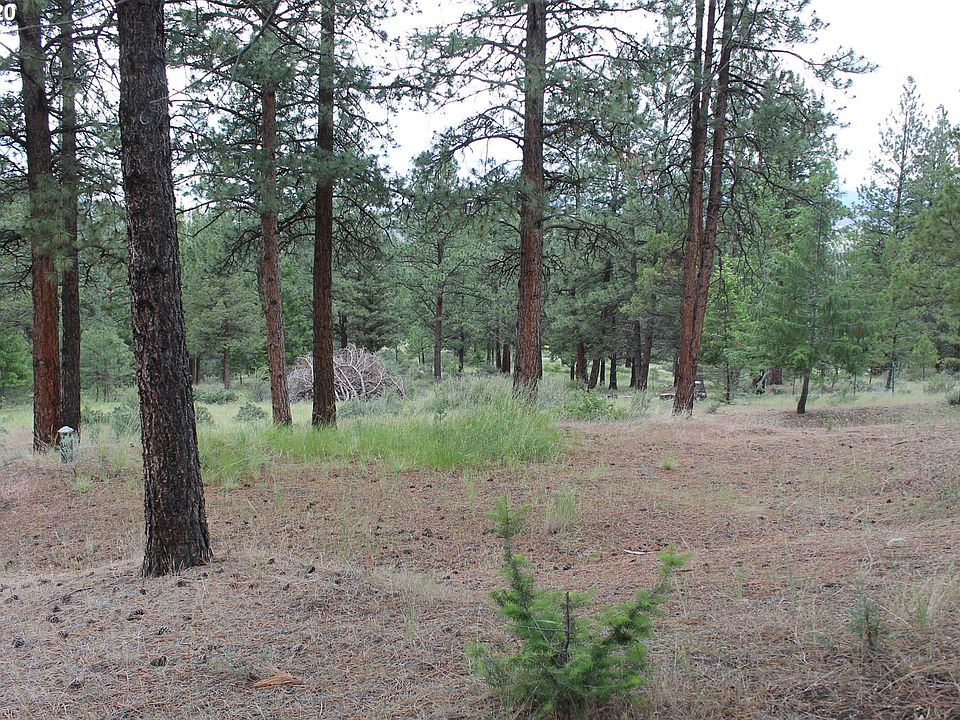 1st image of Pineview Ln