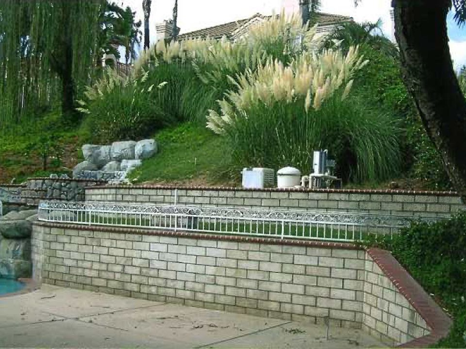 1st image of 29152 Sandlewood Pl