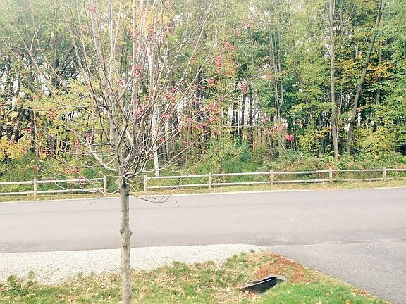 4th image of 102 Riverdale Ave
