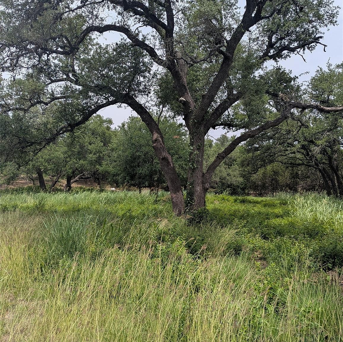 LOT 2 Hamilton Pool Rd, Austin, TX 78738 | MLS #5871532 | Zillow