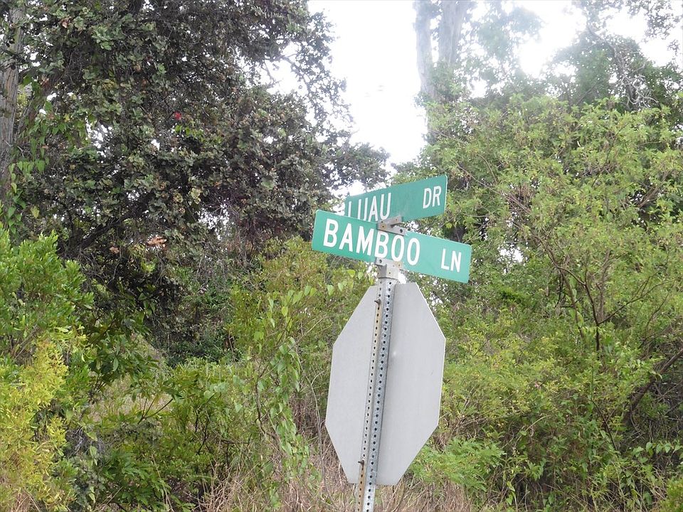 2nd image of Bamboo Ln Lot 14