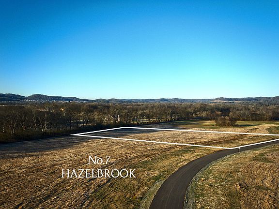 2nd image of 3021 Del Rio Pike Lot 7