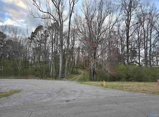 /10 E Lacon Rd, Falkville, AL 35622