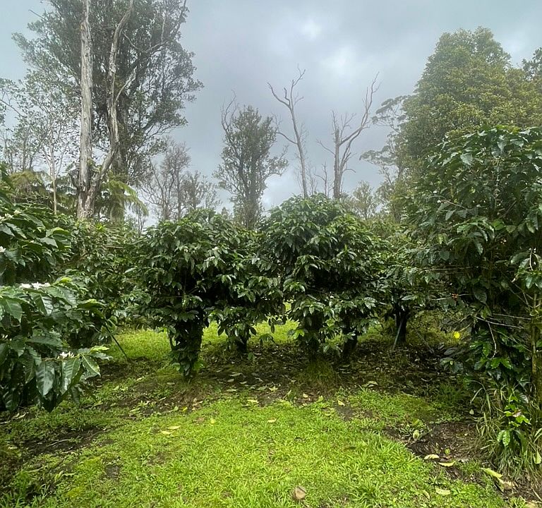 1st image of Kokokahi Rd Lot 37