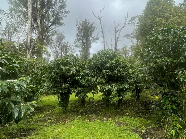 Kokokahi Rd Lot 37, Volcano, HI 96785