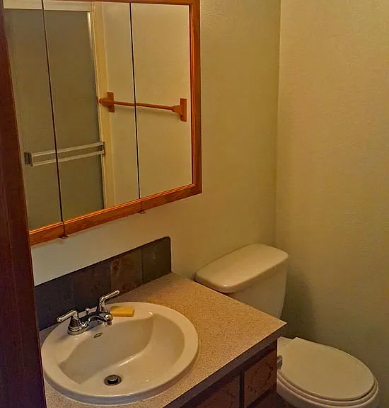 Hall Bathroom view 2