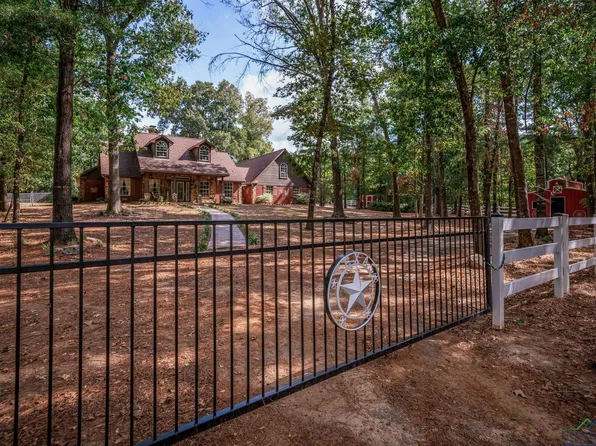 12723 State Highway 154 E, Diana, TX 75640