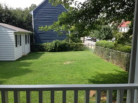 Back yard with shed