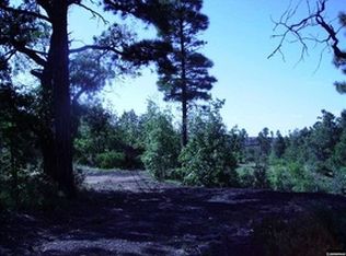 6297 Deer Run Rd, Show Low, AZ 85901