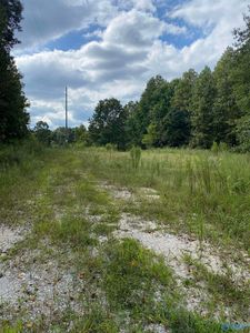 2657 County Road 712, Henagar, AL, 35978