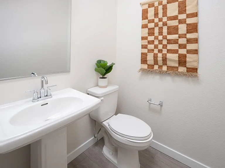 Powder Room (downstairs)