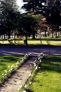 The view into the park from the front porch