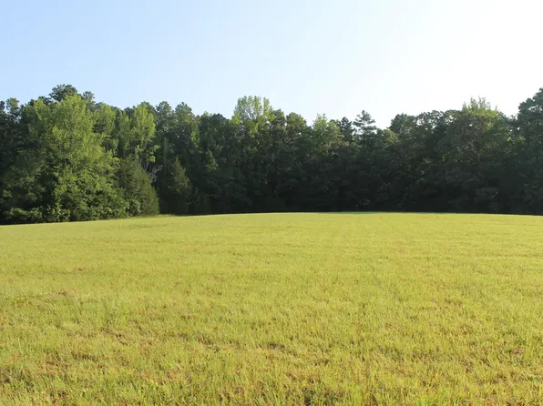 3 Lick Creek Rd Tract 3, Michie, TN 38357