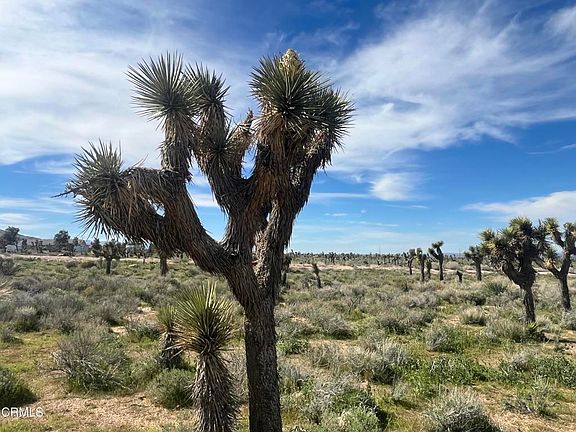 5th image of 0 Bowen Ranch Rd Lot 15