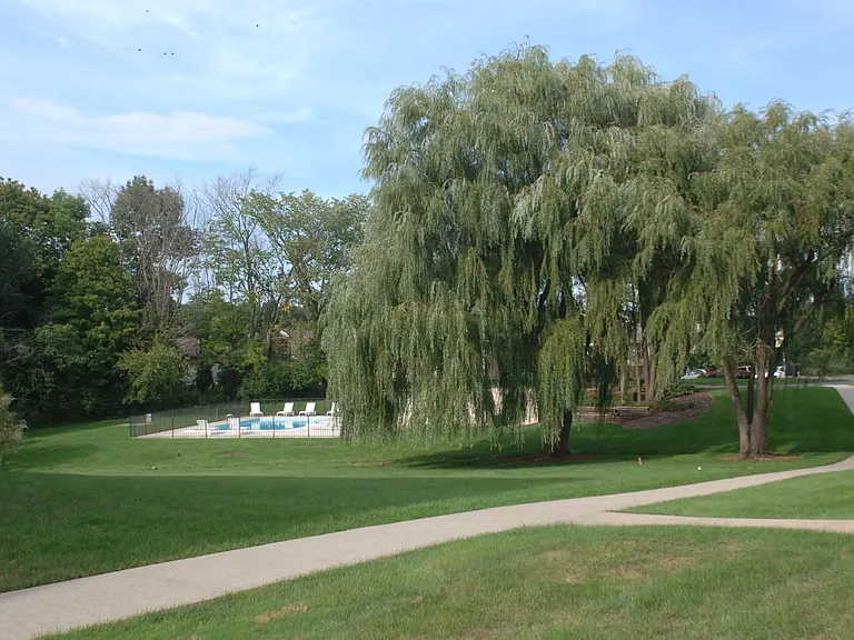 Beautiful Grounds