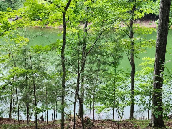 0 Kahiti Ct, Mooresburg, TN 37811