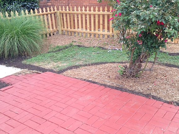 Beautiful yard