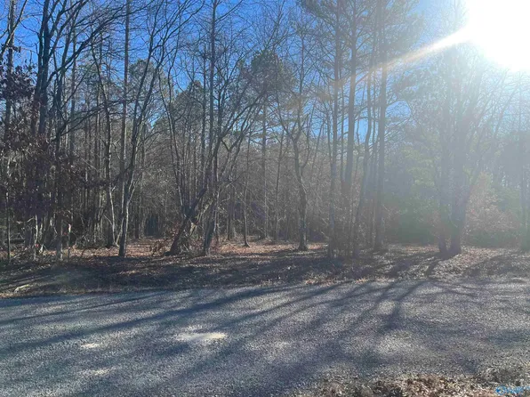1.12 County Road 1004, Geraldine, AL 35974