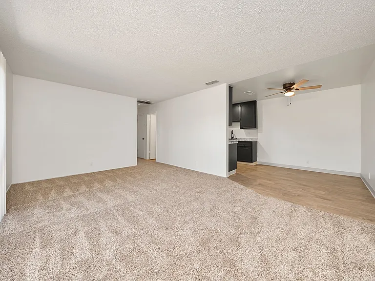 3800 Lily St — Photo 8