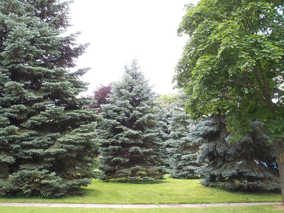 1st image of 330 Ontario