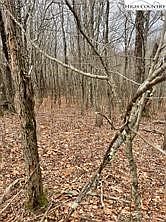 4th image of TBD Old Mountain Road