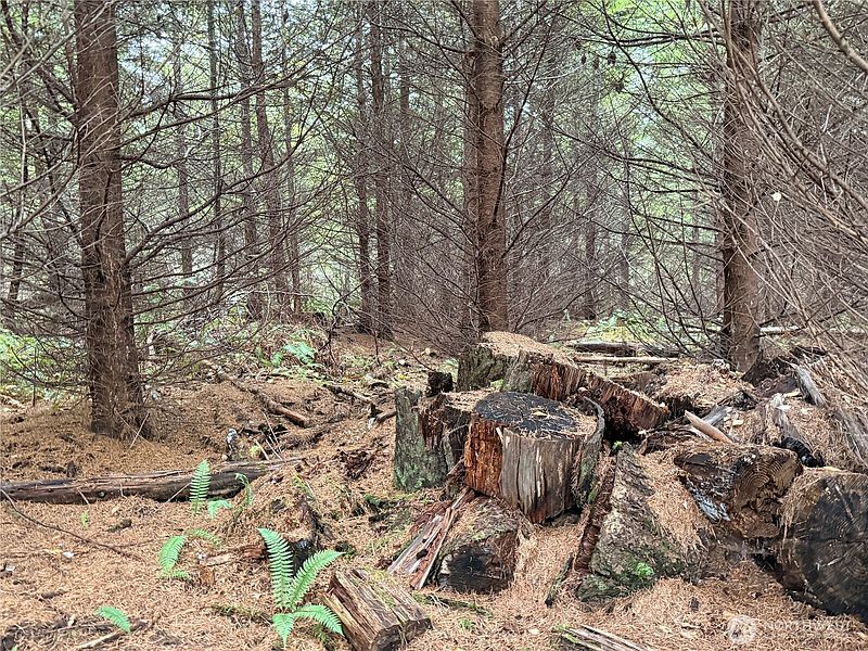 5th image of 19 xx Bunker Creek Road