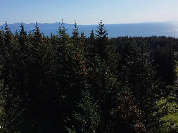 2083 Highland Dr, Homer, AK 99603